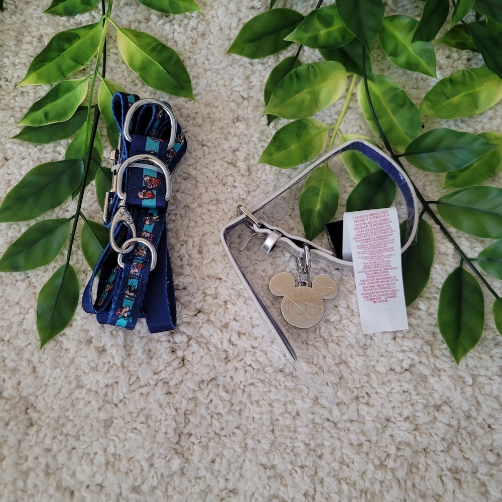 Disney Puppy Collar & Leash Bundle (S)